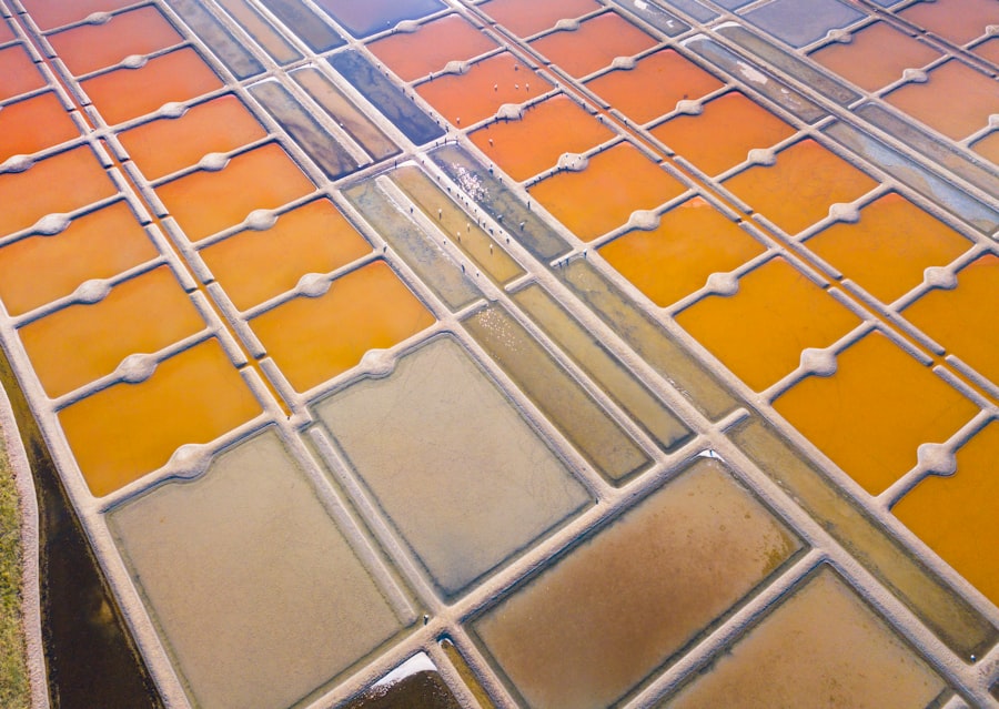 Floor polisher