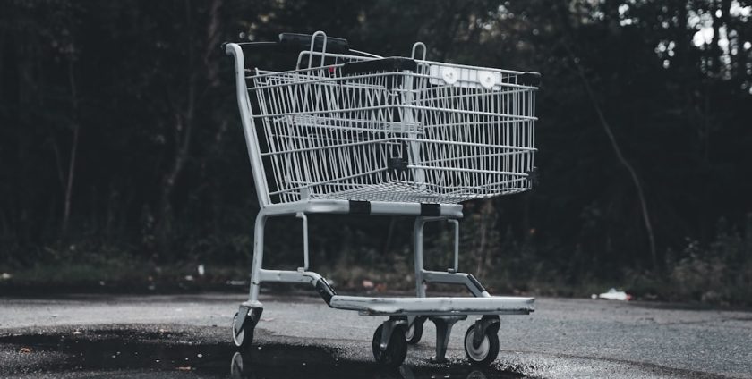 Photo Cleaning cart