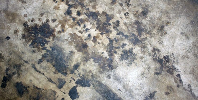 Photo Floor Scrubber