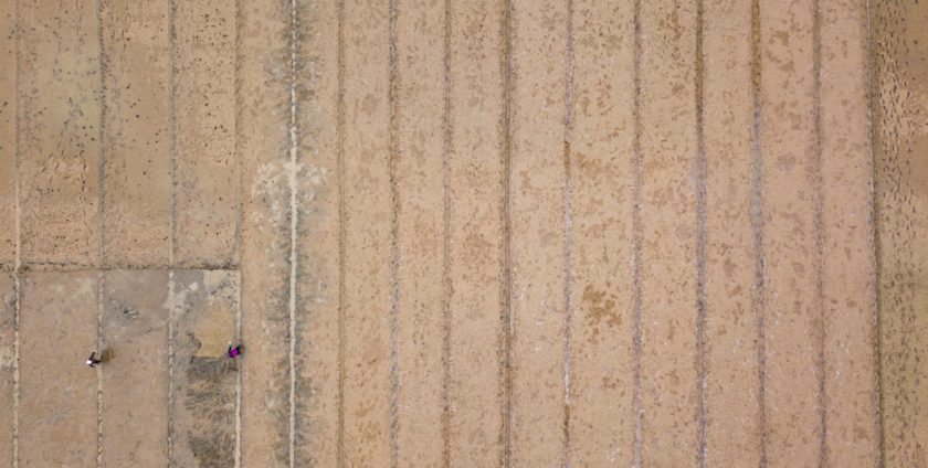 Photo Floor scrubber