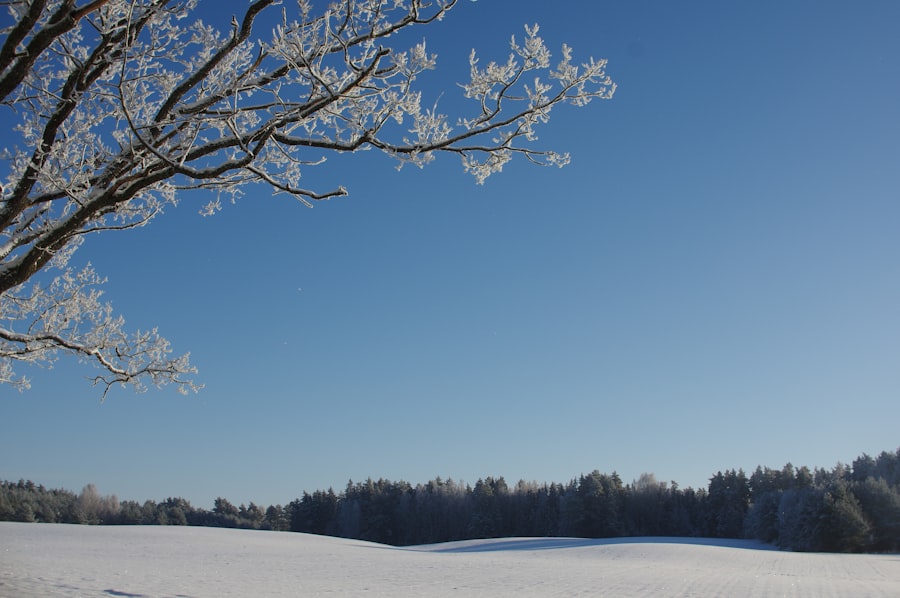 Winterise