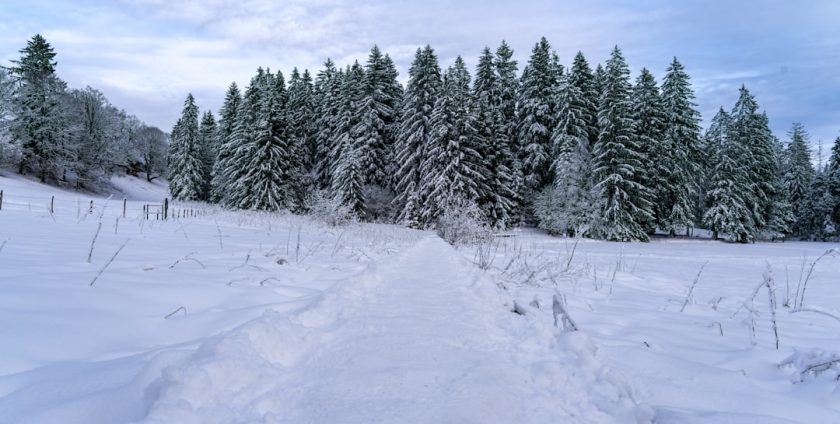Photo Winterise