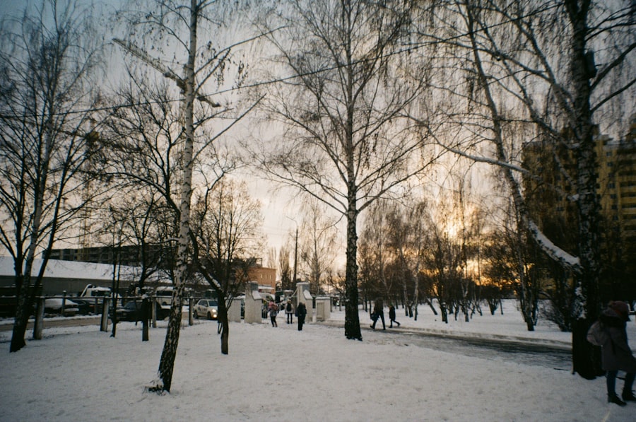 Photo Winterise